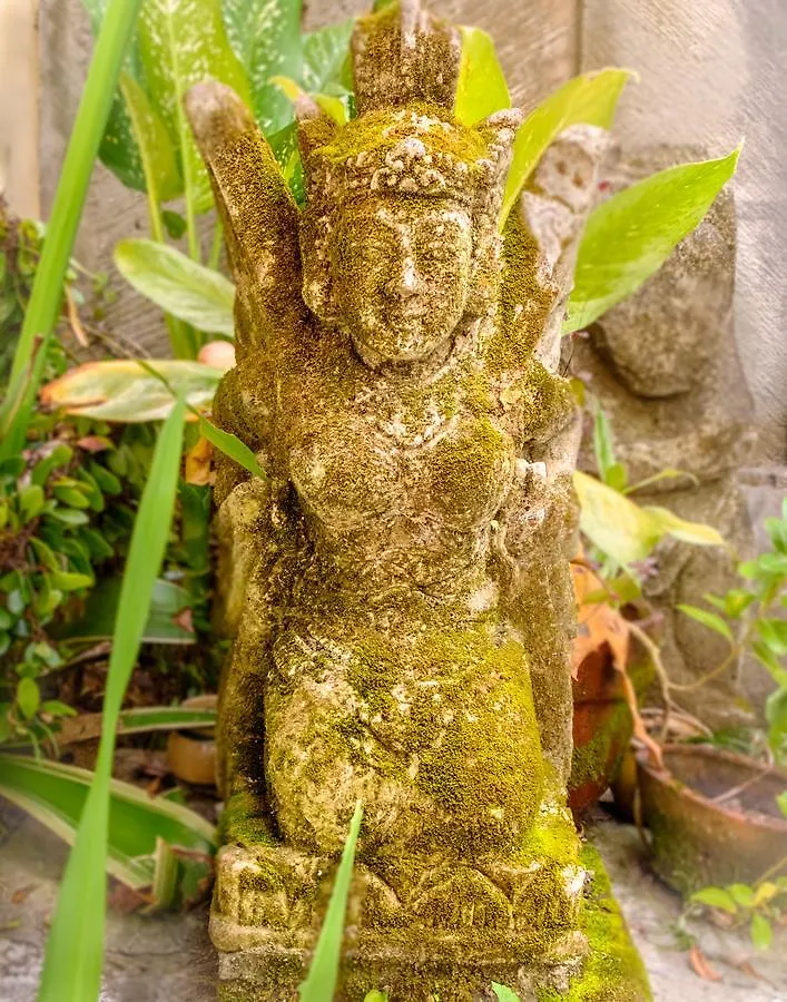 Semujan Bungalow Ubud  2*, Ubud (Bali)